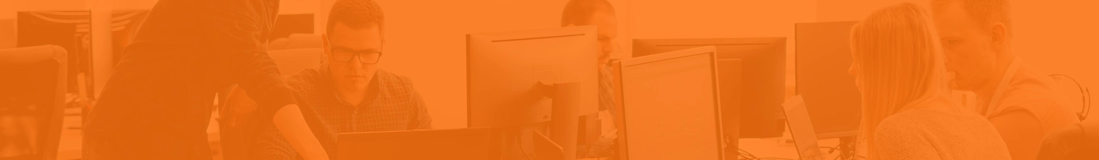 Business professionals working